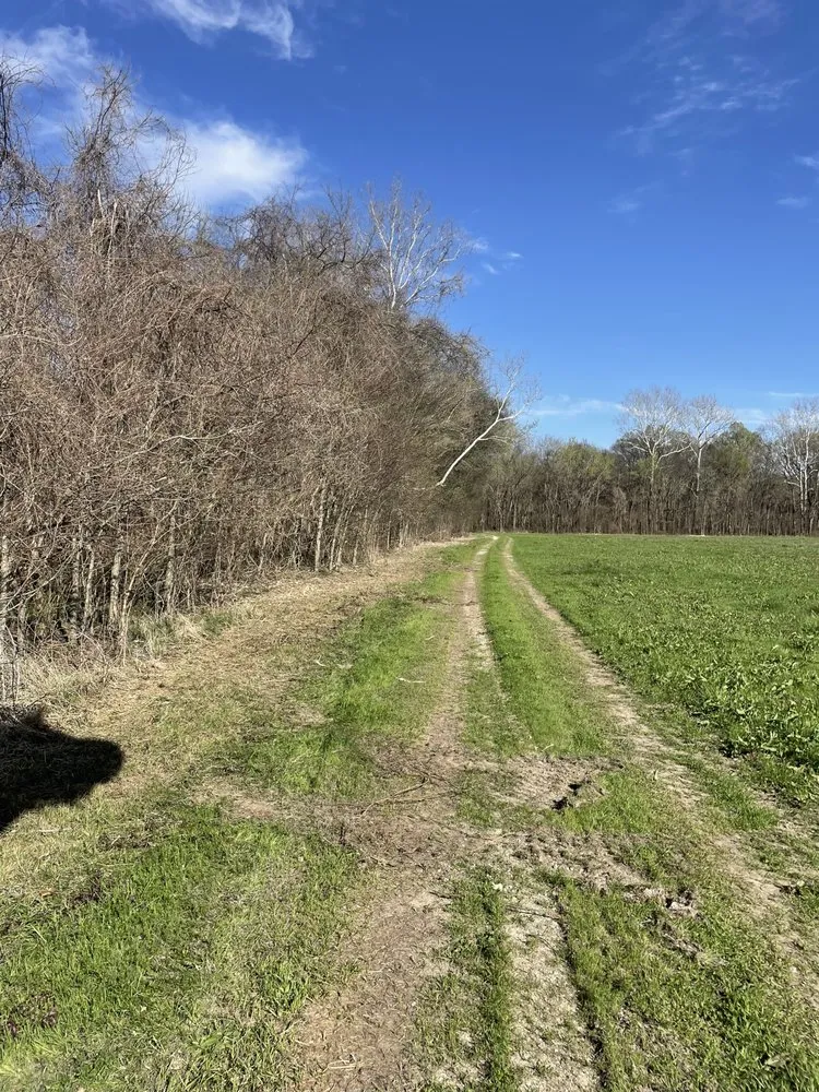 Trusted garden landscaping near you across Halls, TN - Brewster Land Improvement