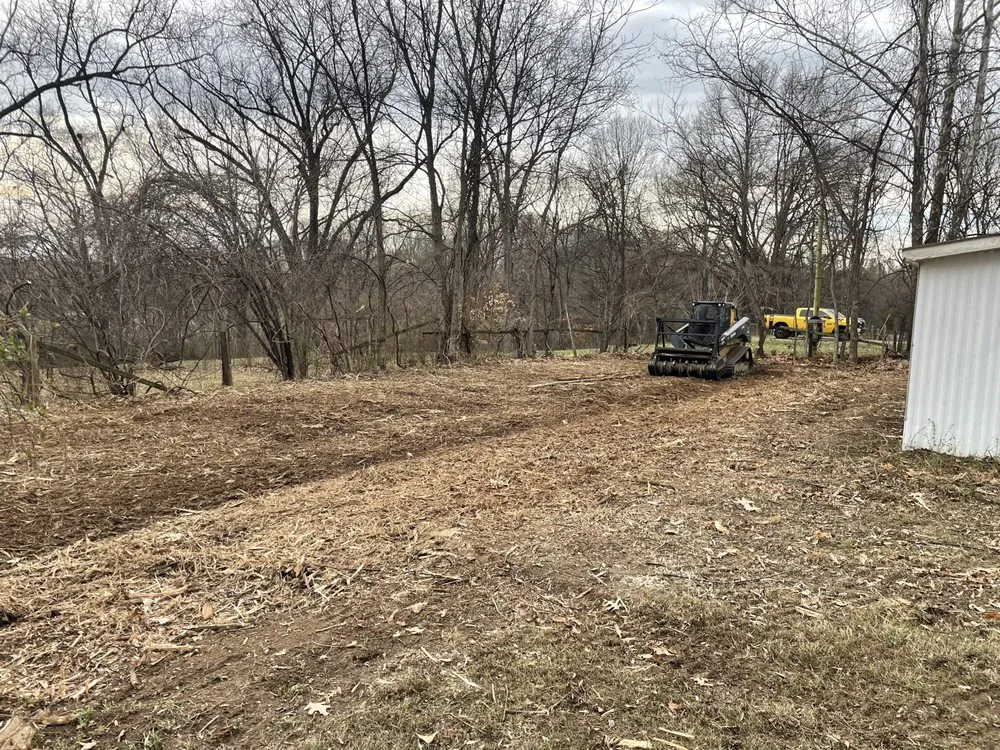 Reliable lawn mowing service experts serving Halls, TN - Brewster Land Improvement