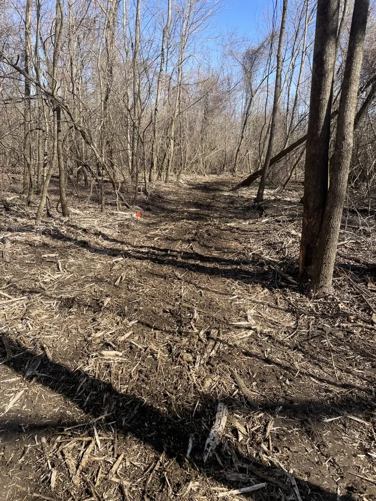 Local lawn mowing service experts serving Halls, TN - Brewster Land Improvement