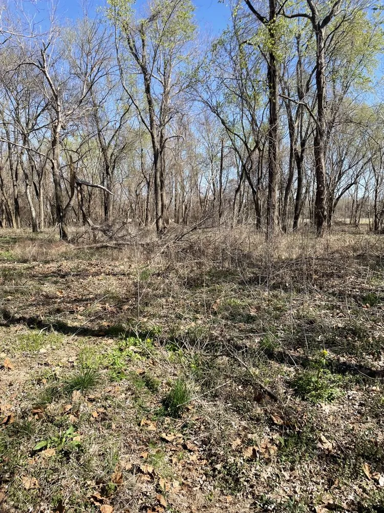 Affordable outdoor landscaping in Halls, TN by Brewster Land Improvement