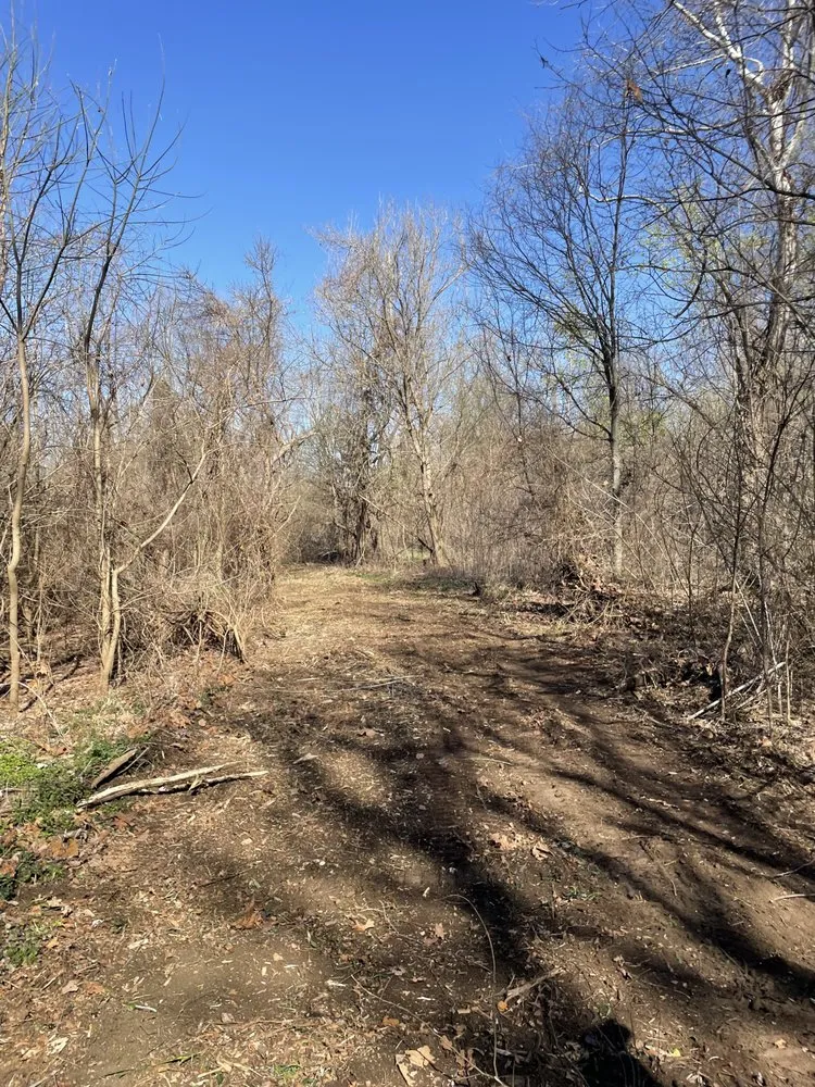 Trusted yard cleanup service experts serving Halls, TN - Brewster Land Improvement