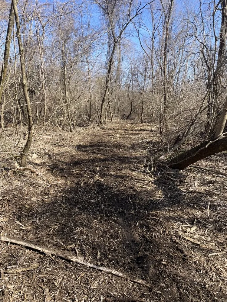 Affordable residential landscaping for residential properties in Halls, TN by Brewster Land Improvement