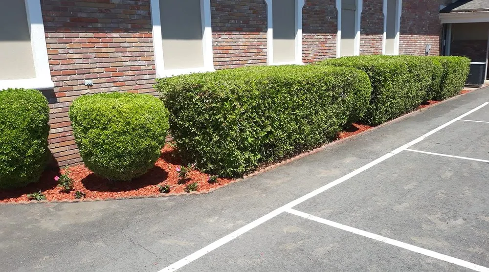 Professional garden landscaping with custom design in Monroe, LA by Brewster Landscaping and Sprinklers