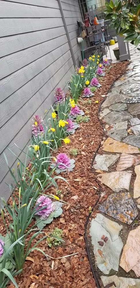Trusted yard cleanup service in Dufur, OR - Brewster N Sons