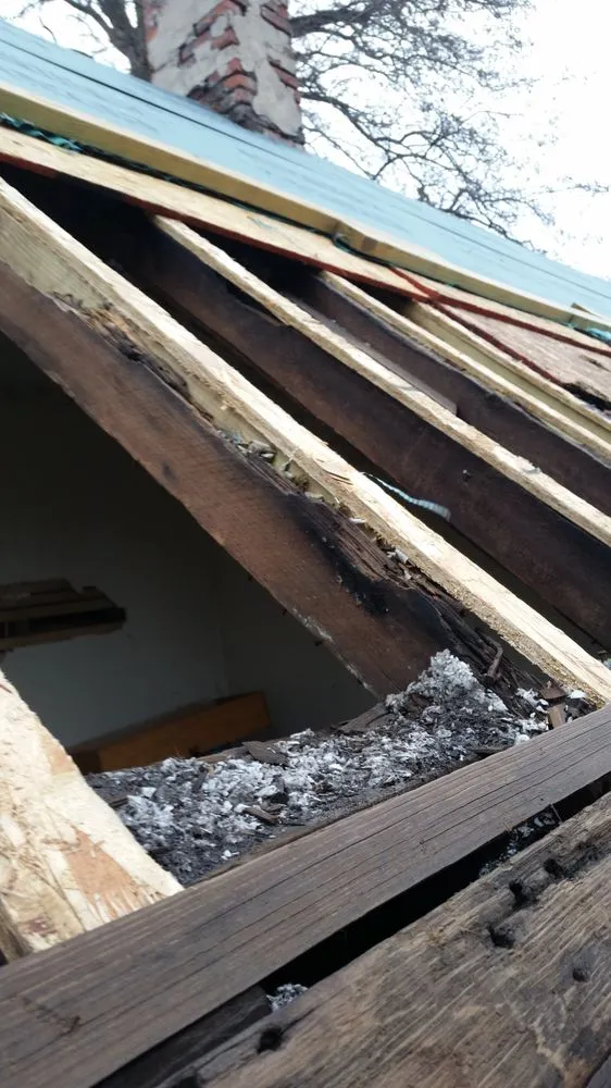 Reliable yard cleanup service for beautiful yards across Galesburg, IL - Brewtus Multi Services