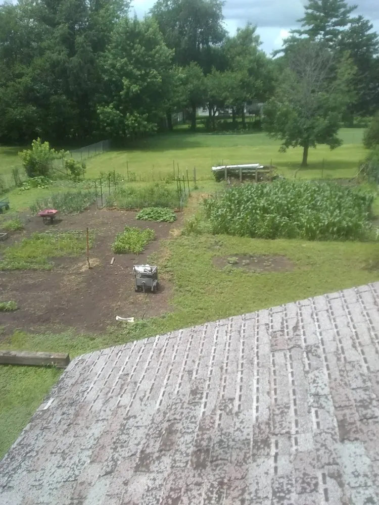 Custom lawn mowing service in Galesburg, IL - Brewtus Multi Services