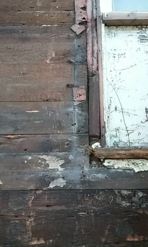 Reliable lawn mowing service experts serving Galesburg, IL - Brewtus Multi Services