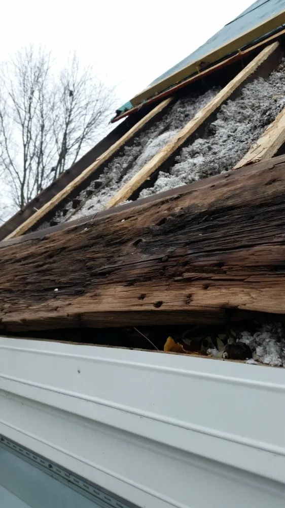 Local lawn care service with custom design in Galesburg, IL by Brewtus Multi Services