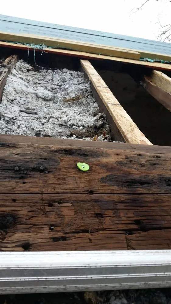 Custom landscaping services experts serving Galesburg, IL - Brewtus Multi Services