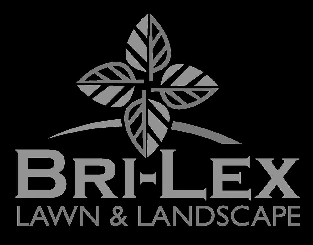 Professional lawn care service in Jonesville, NC - Bri-Lex Lawn & Landscape