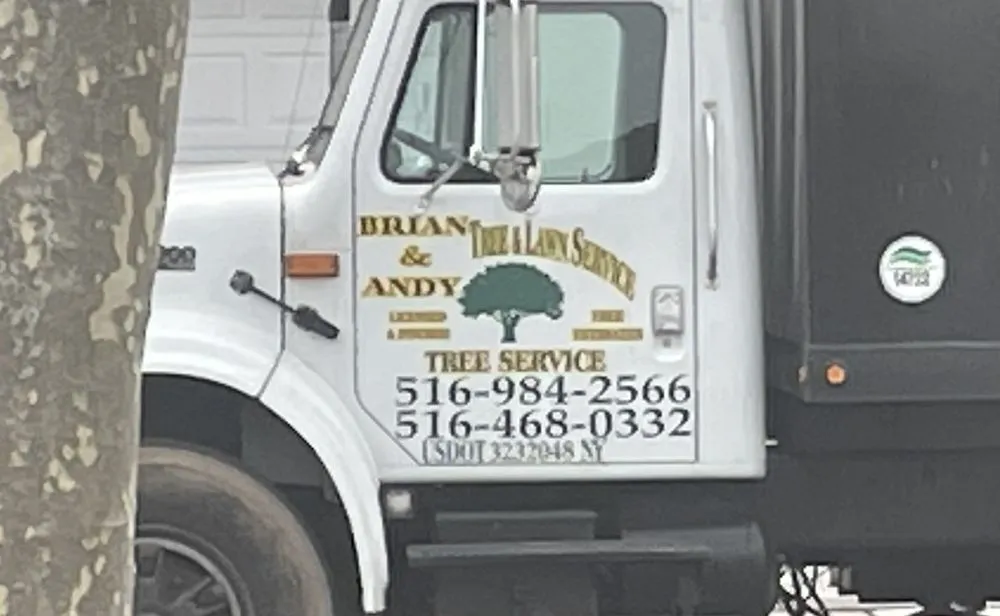 Reliable landscaping services for year-round maintenance in Hempstead, NY by Brian & Andy Tree Service