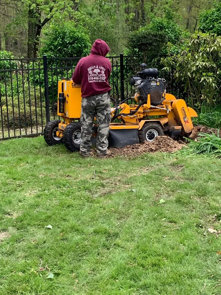 Top-rated residential landscaping in Hempstead, NY - Brian & Andy Tree Service