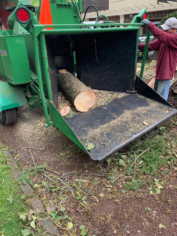 Professional garden landscaping in Hempstead, NY - Brian & Andy Tree Service