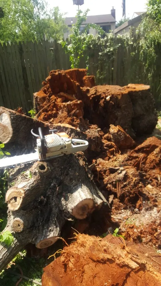 Affordable garden landscaping for beautiful yards across Hempstead, NY - Brian & Andy Tree Service