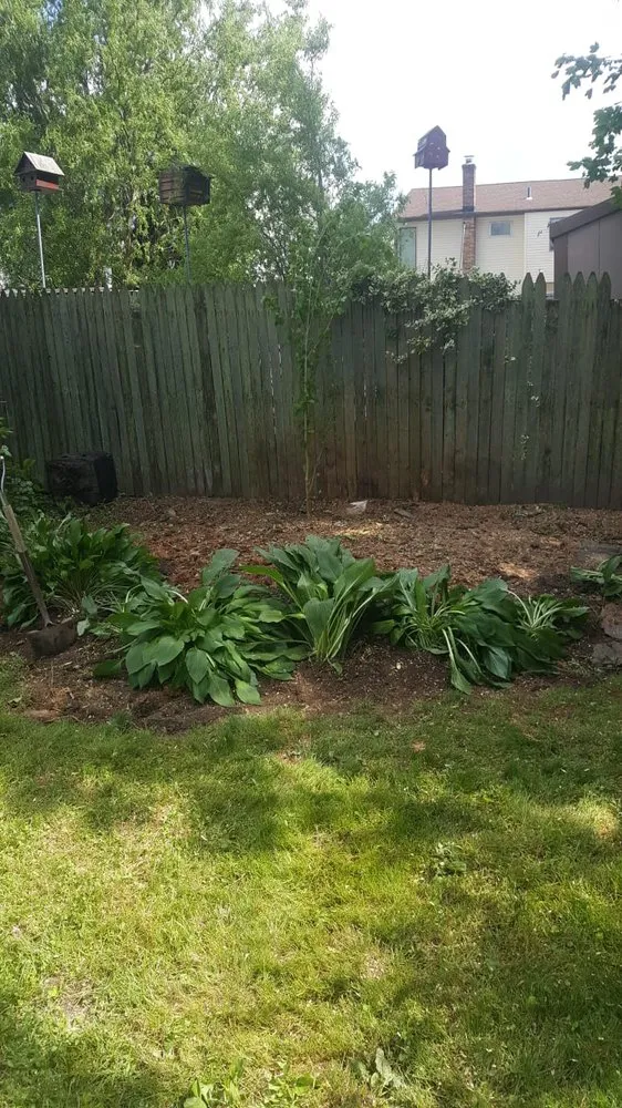 Reliable yard cleanup service for outdoor upgrades in Hempstead, NY by Brian & Andy Tree Service