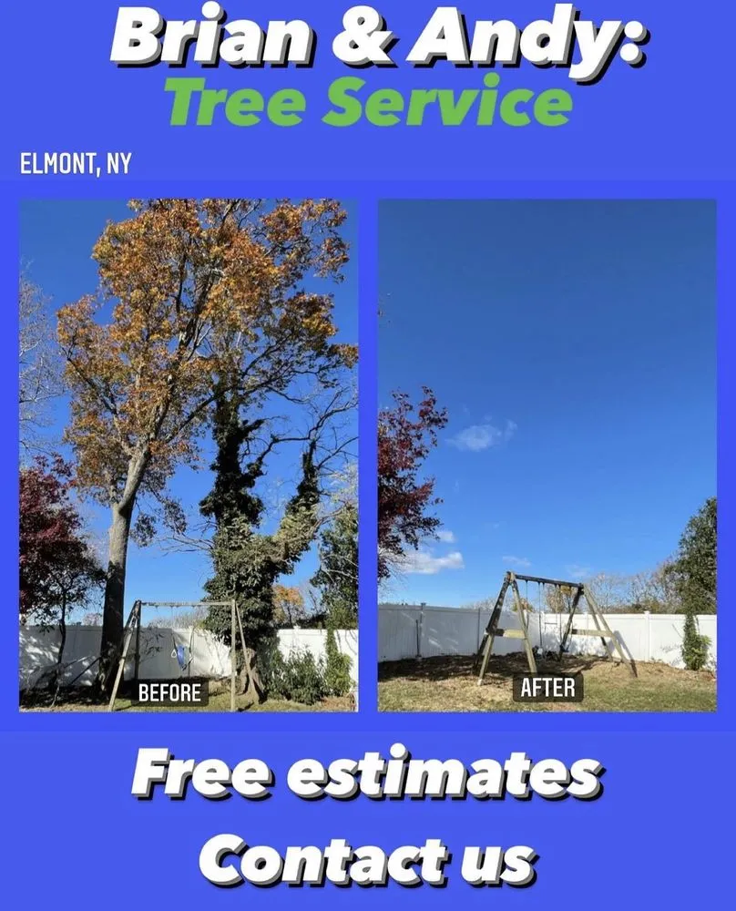 Reliable yard cleanup service in Hempstead, NY - Brian & Andy Tree Service