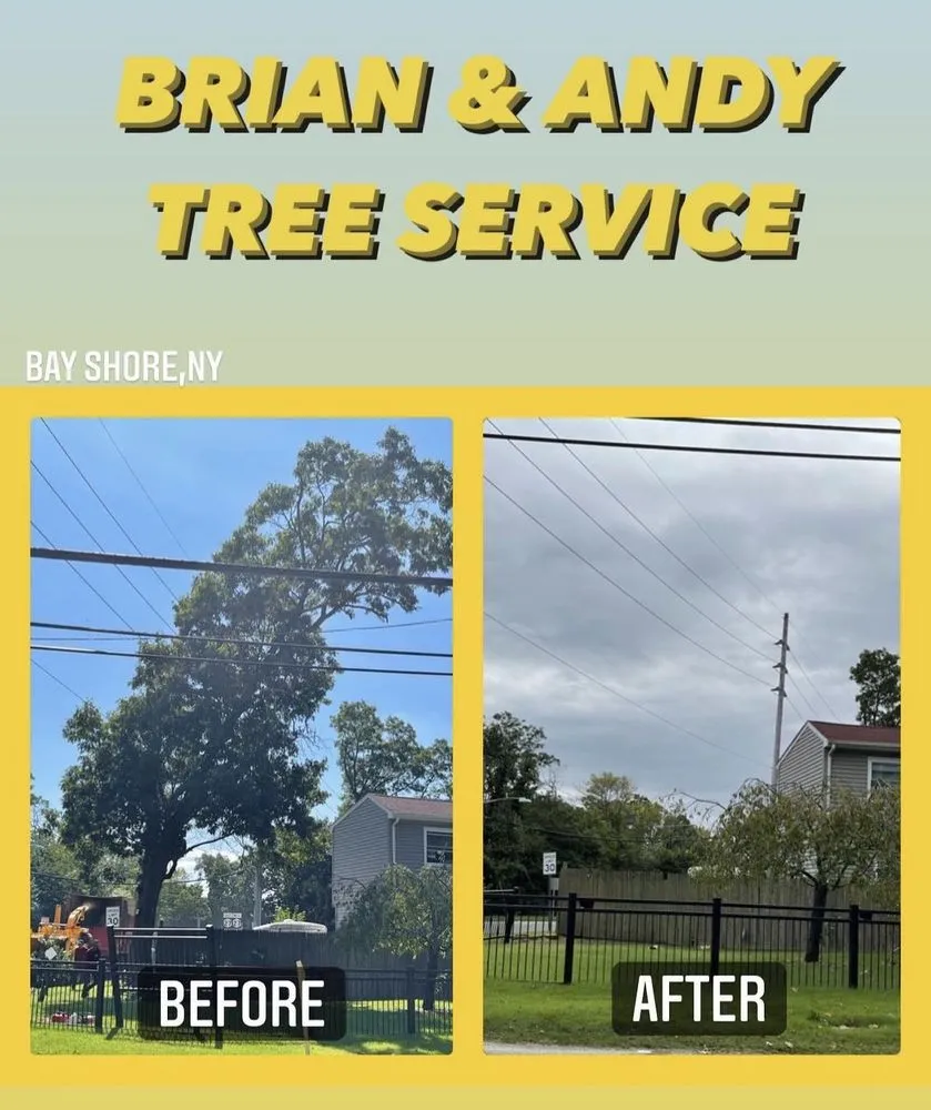Custom landscaping services experts serving Hempstead, NY - Brian & Andy Tree Service
