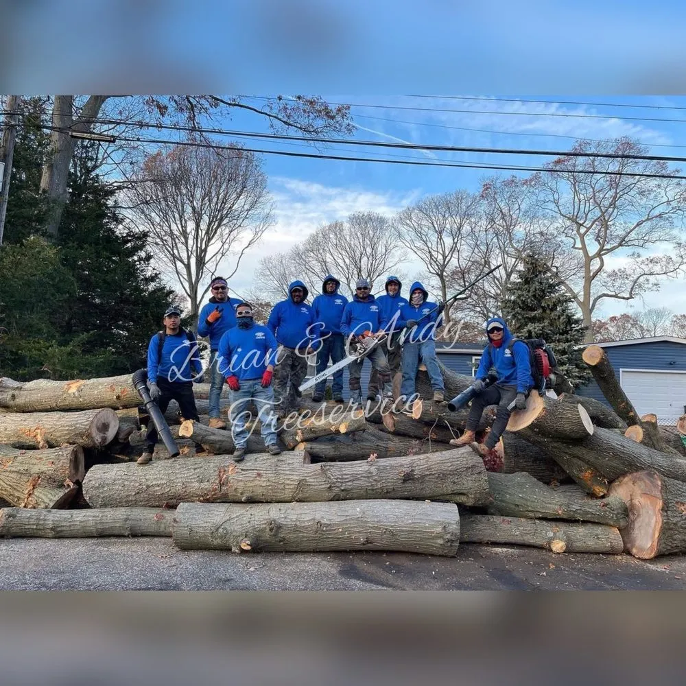 Affordable lawn care service experts serving Hempstead, NY - Brian & Andy Tree Service