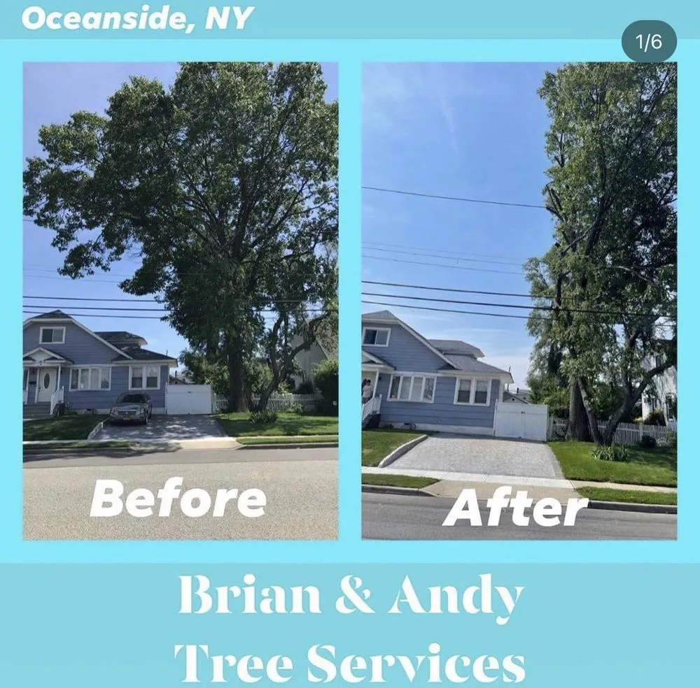 Reliable lawn mowing service in Hempstead, NY by Brian & Andy Tree Service