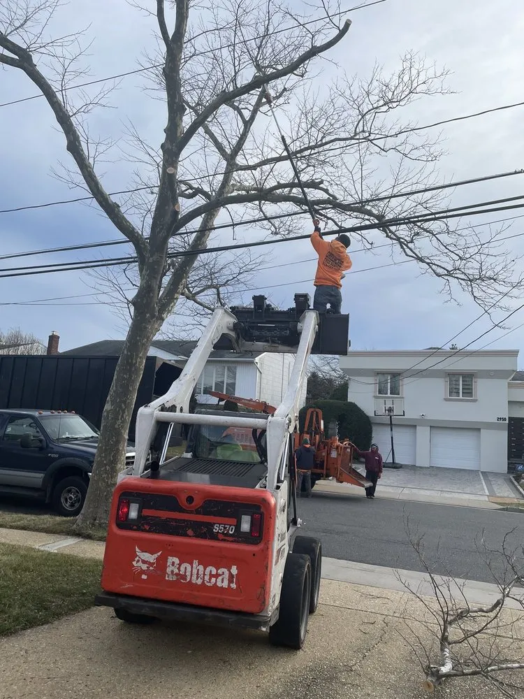 Trusted landscaping services in Hempstead, NY - Brian & Andy Tree Service