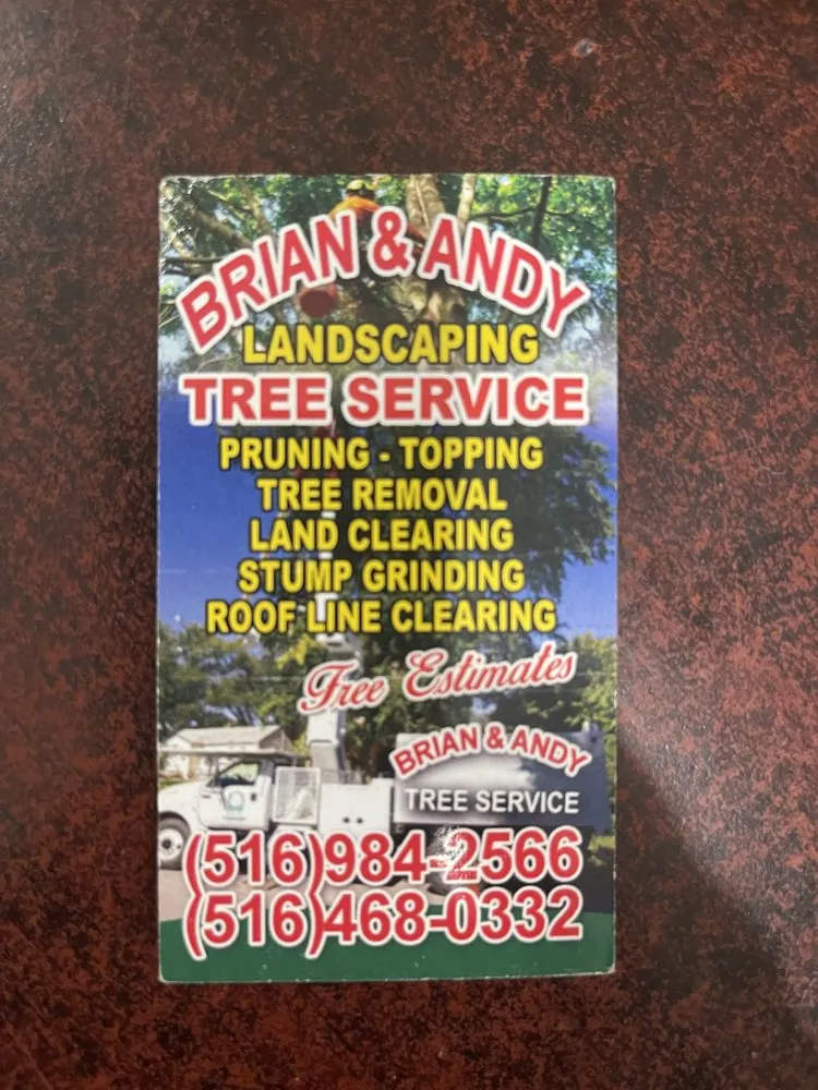 Trusted residential landscaping in Hempstead, NY - Brian & Andy Tree Service