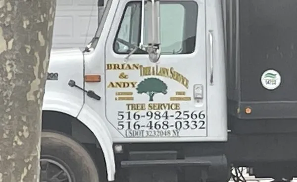 Brian & Andy Tree Service Logo
