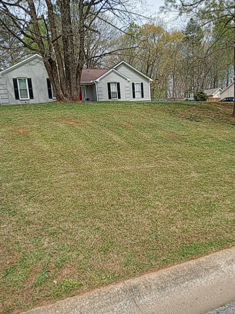 Local yard cleanup service in Conley, GA - Brian & Cory Lawn Care