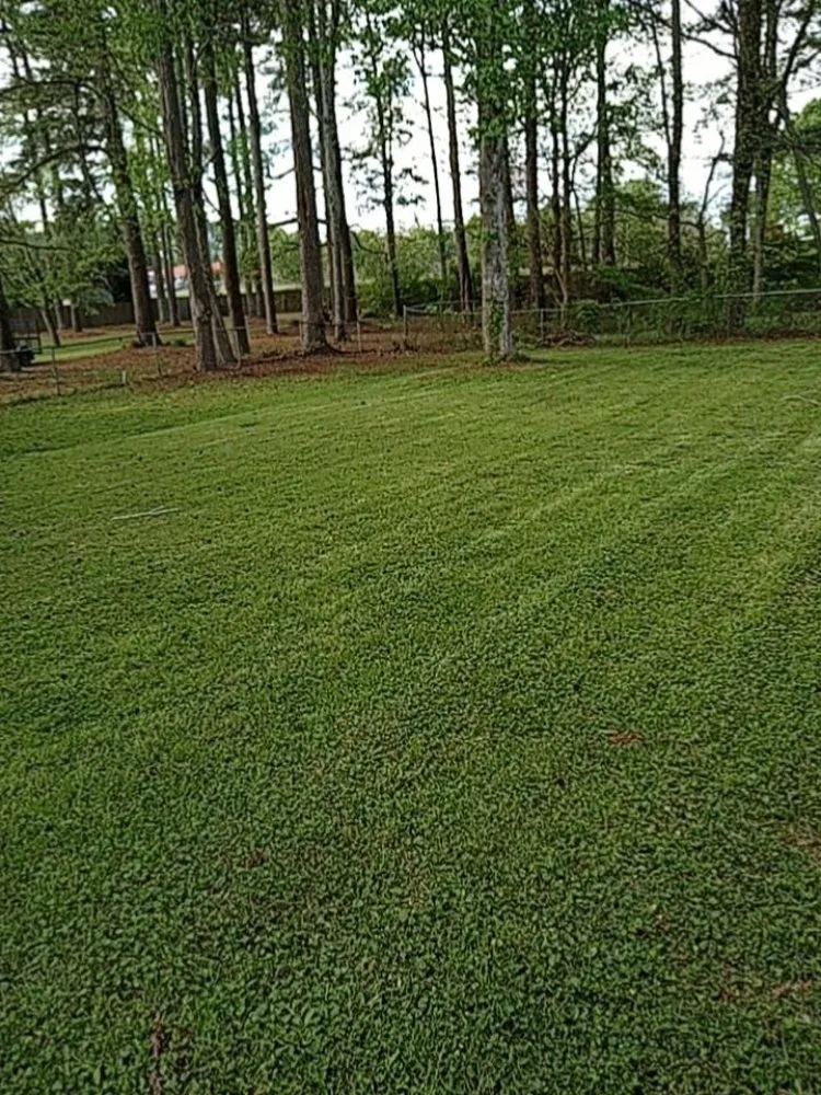 Custom landscape design for year-round maintenance in Conley, GA by Brian & Cory Lawn Care