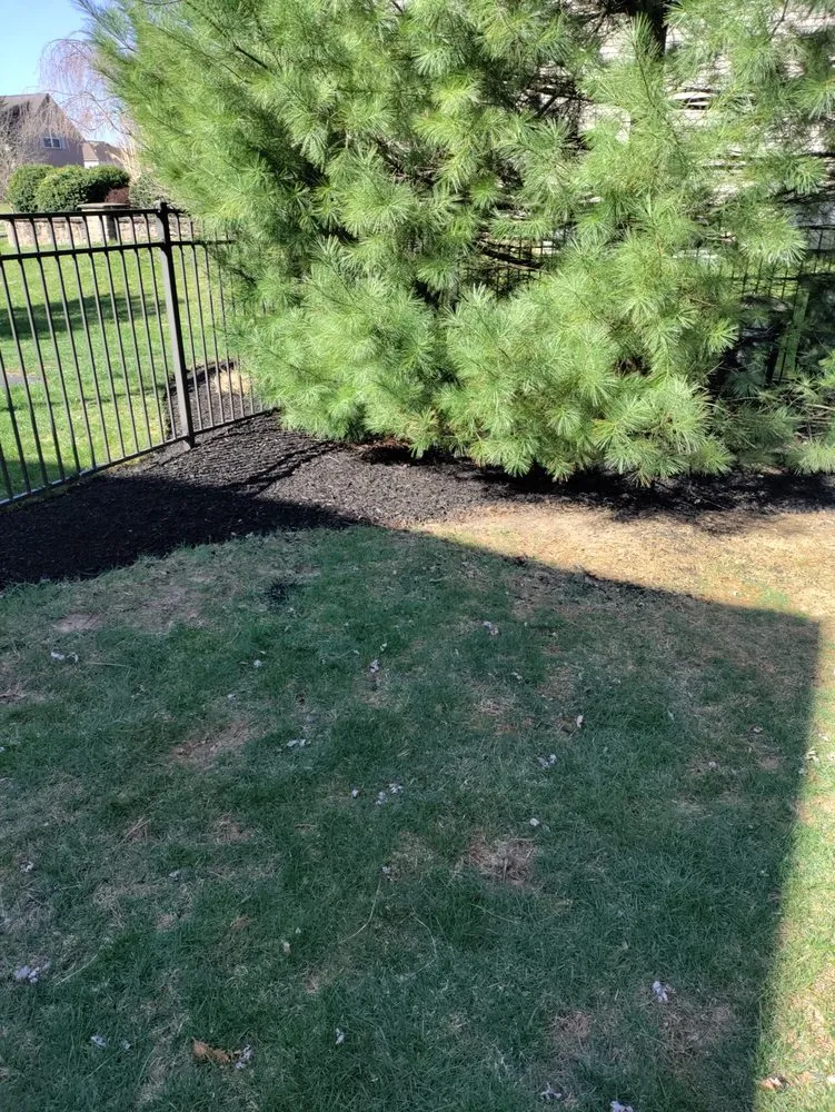 Reliable landscaping services for outdoor upgrades in Phillipsburg, NJ by Brian & Sons Groundskeeping & Construction