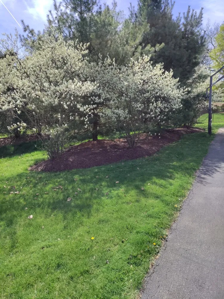 Trusted lawn mowing service in Phillipsburg, NJ - Brian & Sons Groundskeeping & Construction