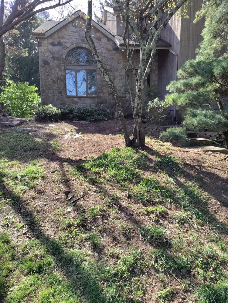 Custom yard maintenance for residential properties in Phillipsburg, NJ by Brian & Sons Groundskeeping & Construction