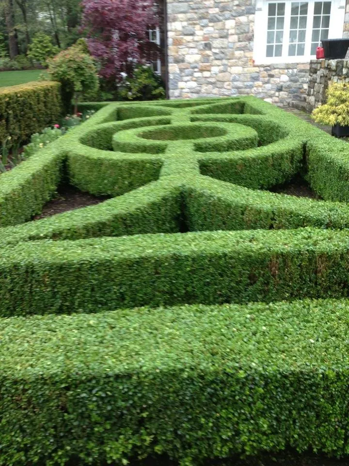 Expert yard maintenance experts serving Stamford, CT - Brian Capone Land Services