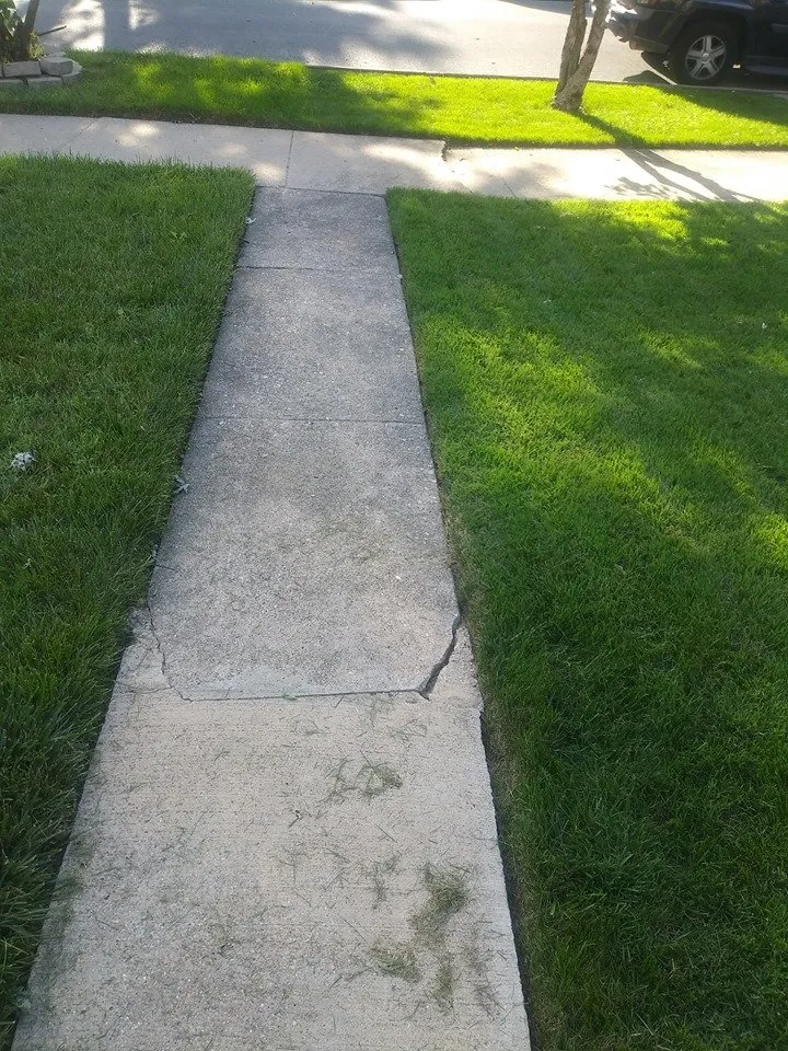 Professional lawn care service in Calumet Park, IL by Brian Duffins Lawncare