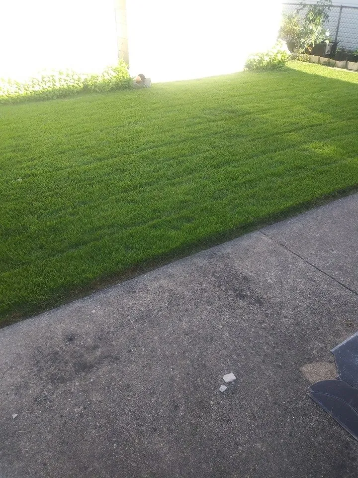 Custom landscaping services in Calumet Park, IL by Brian Duffins Lawncare