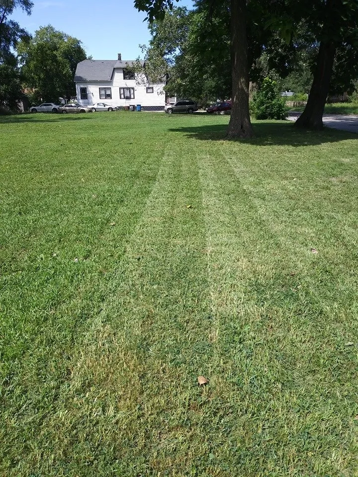 Expert landscape installation near you across Calumet Park, IL - Brian Duffins Lawncare