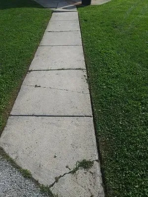 Brian Duffins Lawncare