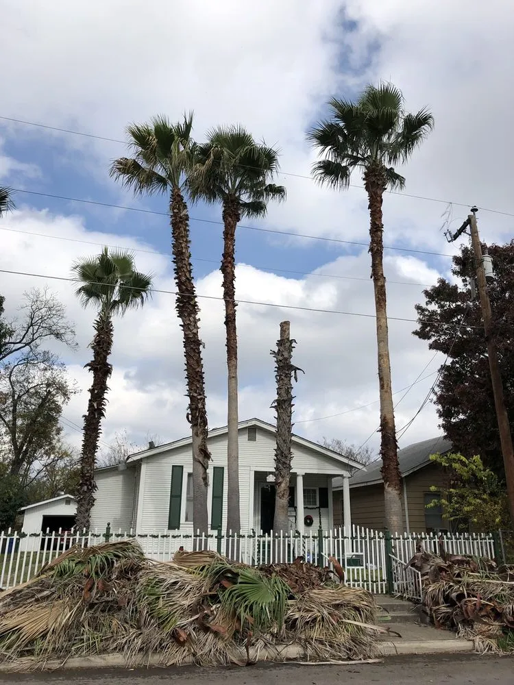 Top-rated yard cleanup service in San Antonio, TX by Brian Hild Lawn and Tree Service