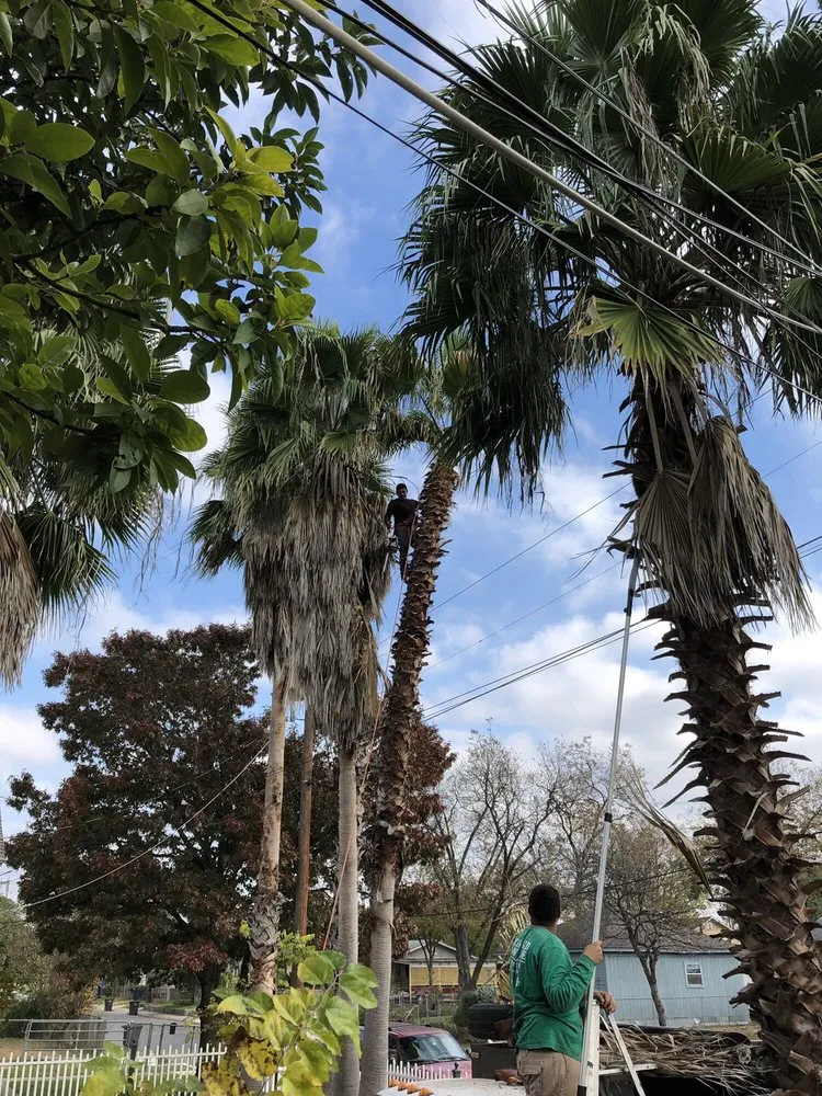 Top-rated residential landscaping in San Antonio, TX - Brian Hild Lawn and Tree Service