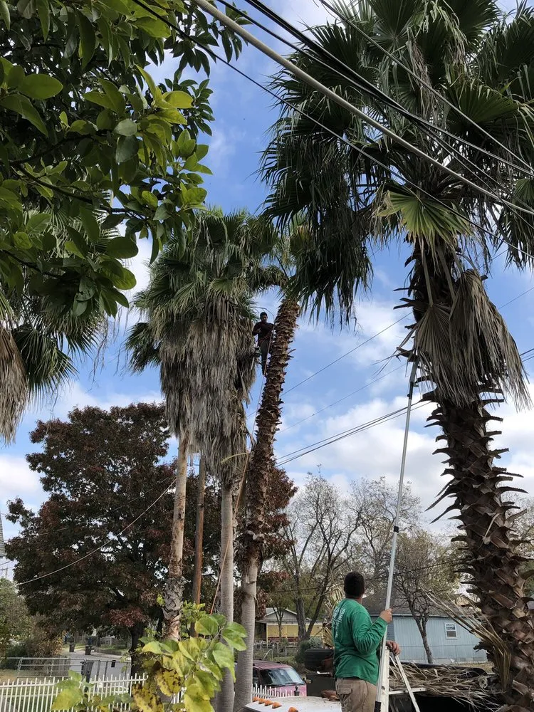 Reliable yard maintenance for outdoor upgrades across San Antonio, TX - Brian Hild Lawn and Tree Service