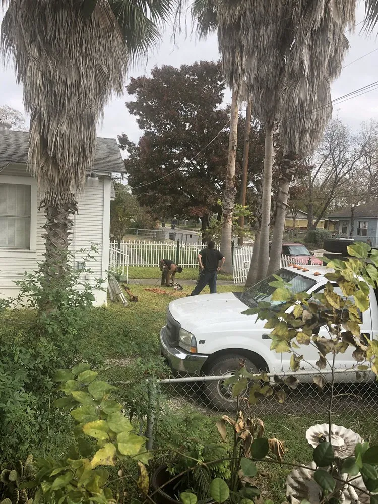 Top-rated yard cleanup service experts serving San Antonio, TX - Brian Hild Lawn and Tree Service