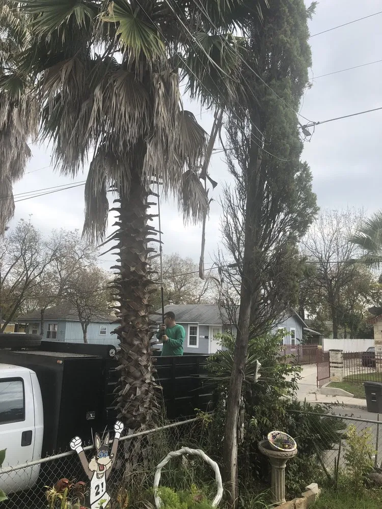 Top-rated landscape design in San Antonio, TX by Brian Hild Lawn and Tree Service