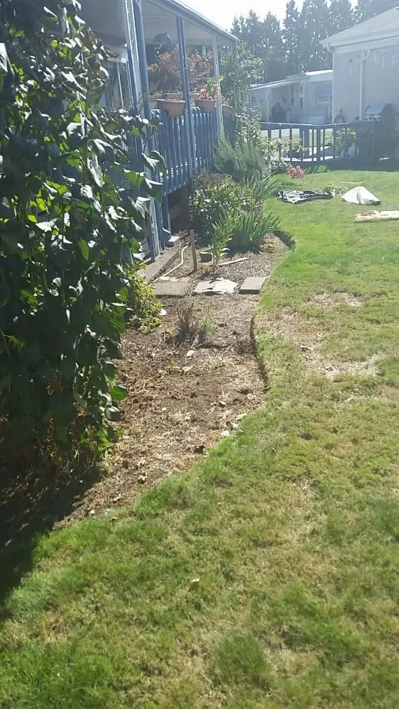 Trusted lawn care service in Stayton, OR - Brian Huber Lawn Maintenance