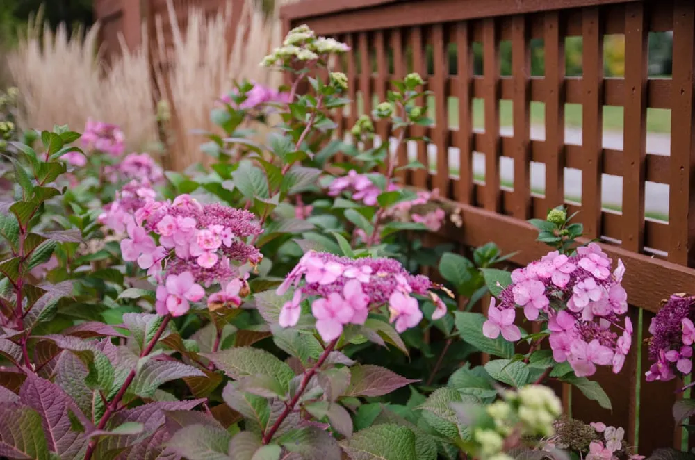 Reliable yard cleanup service in Lorain, OH - Brian-Kyles Landscapes of Distinction