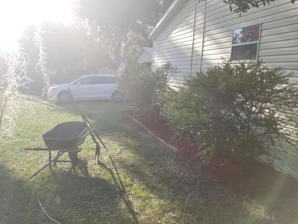 Top-rated yard cleanup service for residential properties in Inverness, FL by Brian L Giddings Services