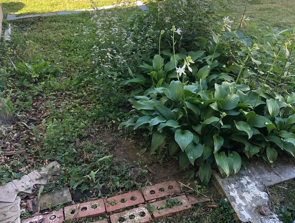 Custom landscape installation in Saint Louis, MO - Brian Lawn Mowing and Snow removal