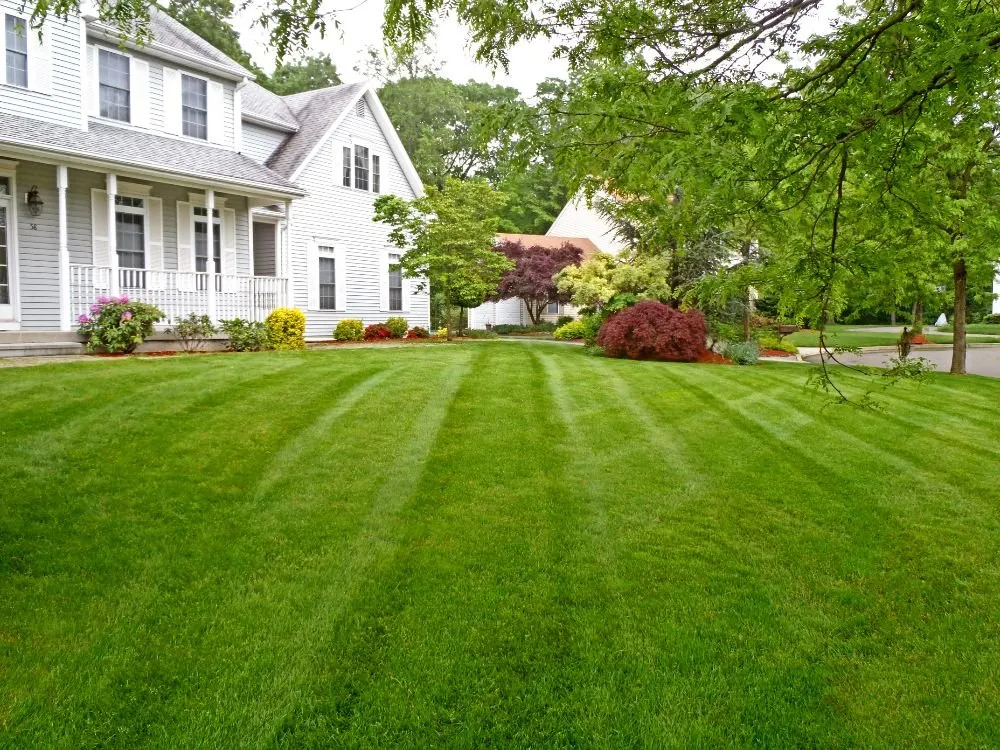 Professional residential landscaping in Rocky Face, GA by Brian Lofty Lawn Care