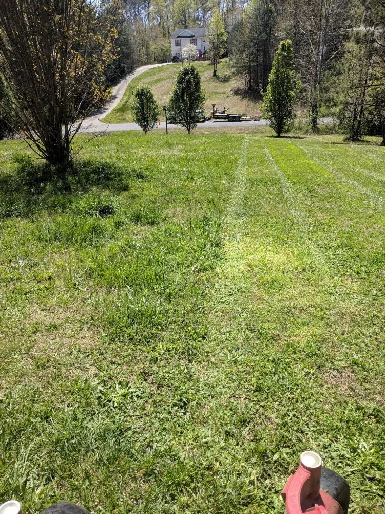 Local yard maintenance in Rocky Face, GA - Brian Lofty Lawn Care