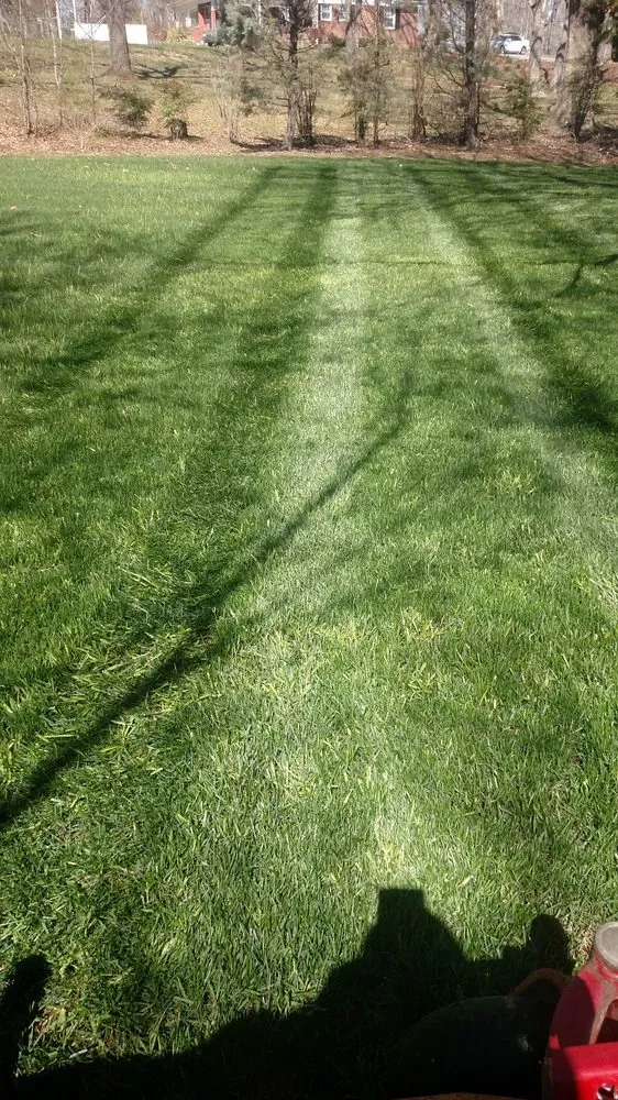 Local landscaping services for residential properties across Rocky Face, GA - Brian Lofty Lawn Care