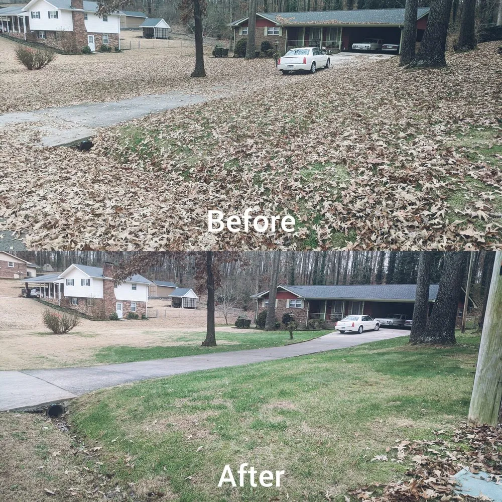 Trusted landscaping services for homes in Rocky Face, GA by Brian Lofty Lawn Care