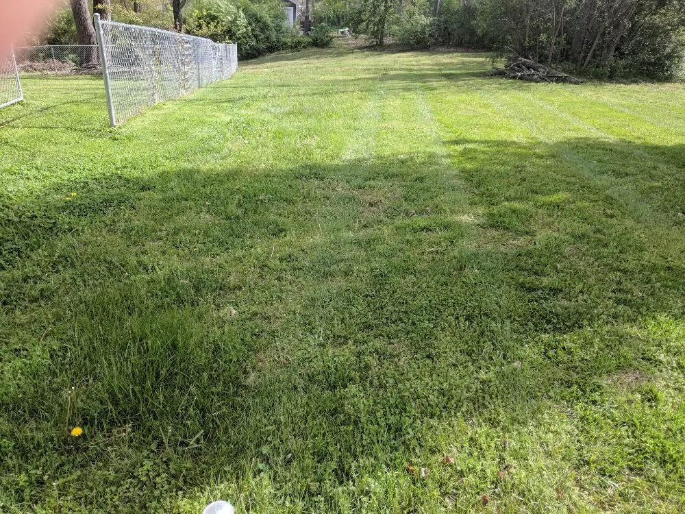 Reliable outdoor landscaping near you in Rocky Face, GA by Brian Lofty Lawn Care